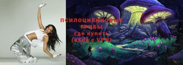ПСИЛОЦИБИНОВЫЕ ГРИБЫ Арсеньев