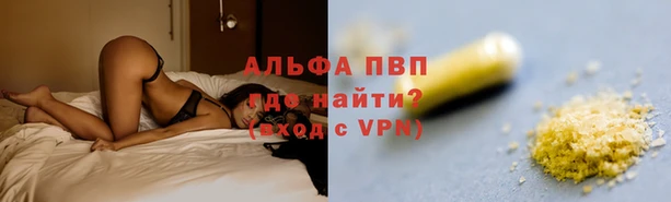ПСИЛОЦИБИНОВЫЕ ГРИБЫ Арсеньев