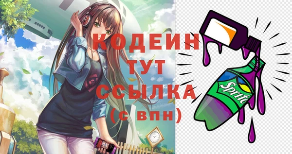 ПСИЛОЦИБИНОВЫЕ ГРИБЫ Арсеньев