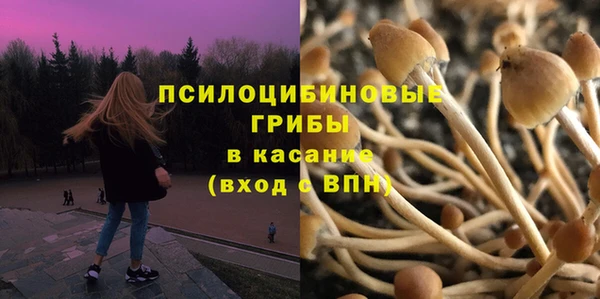 ПСИЛОЦИБИНОВЫЕ ГРИБЫ Арсеньев